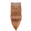 Light Color 160G Seamless Clip-In Hair Extensions