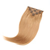 Light Color 160G Seamless Clip-In Hair Extensions