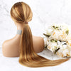 #4/27 Lace Front Wig High Light Color Wig Straight