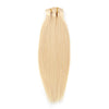 613 Blonde 160G Clip-In Hair Extensions